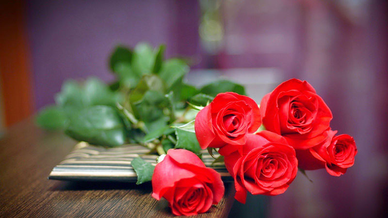 Hoa tượng trưng cho tình yêu - Hoa hồng