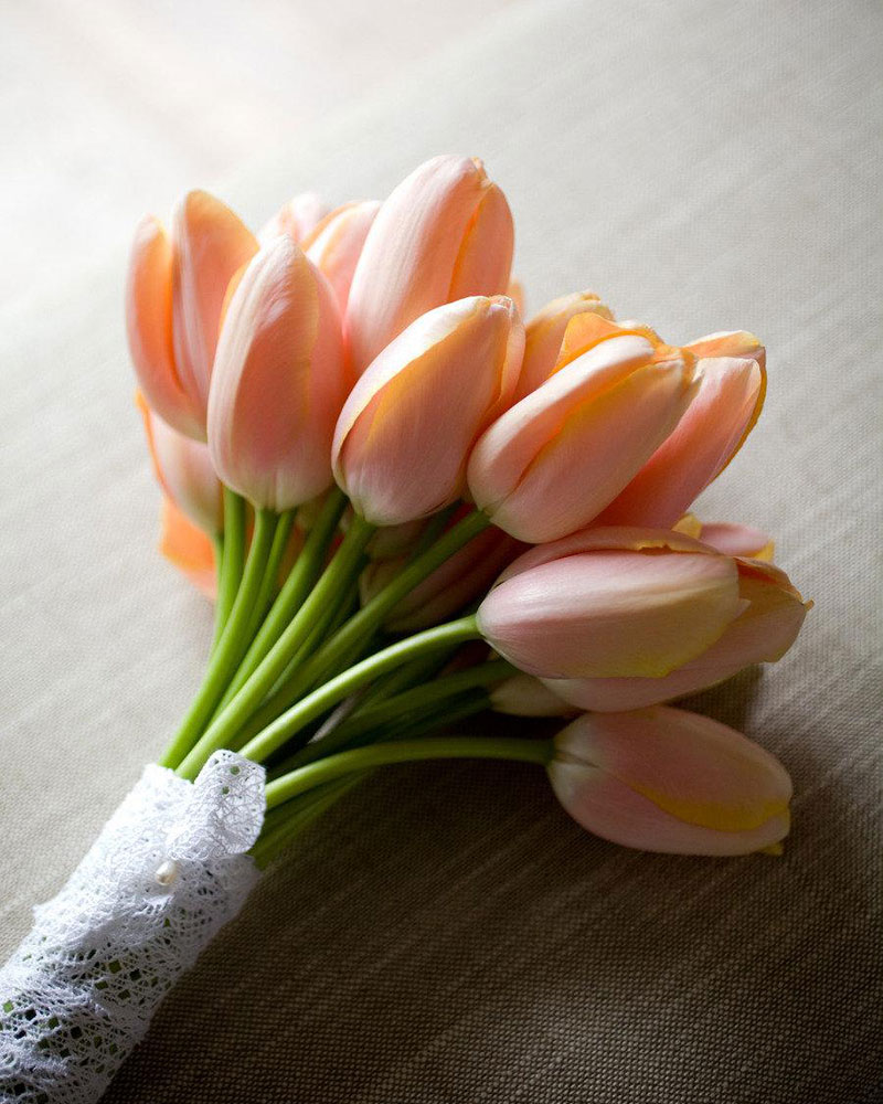 Hoa tượng trưng cho tình yêu - Hoa tulip
