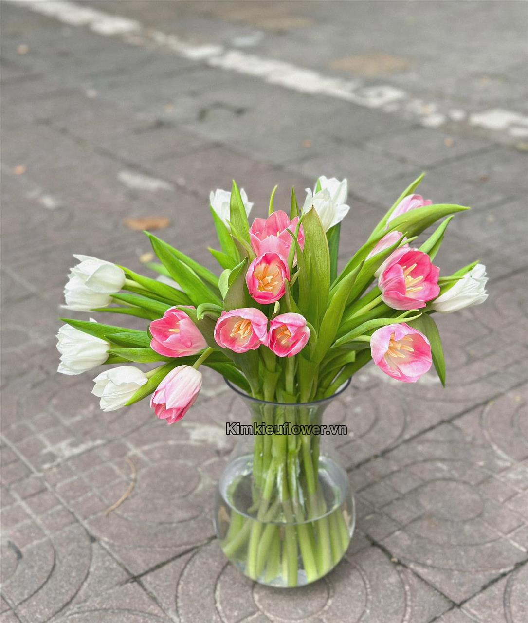 Hoa tulip với ngoại hình nhỏ nhắn, nhẹ nhàng