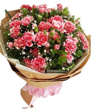 bó hoa cẩm chướng màu hồng dễ thương