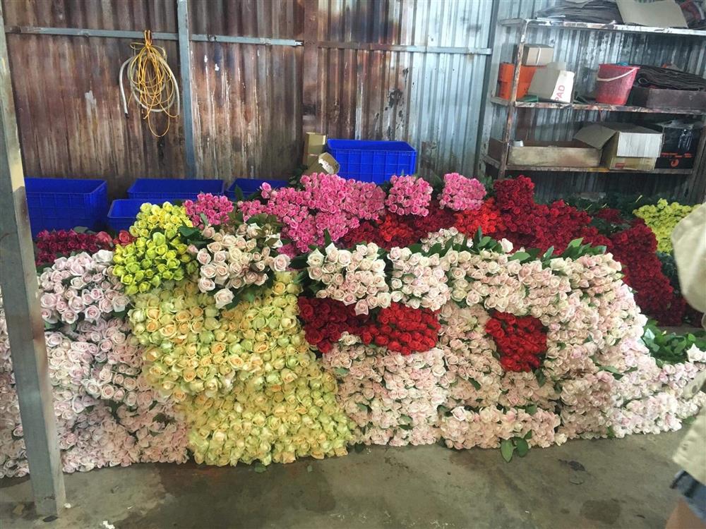 Nơi cung cấp hoa hồng cho Kim Kiều tại Đà Lạt