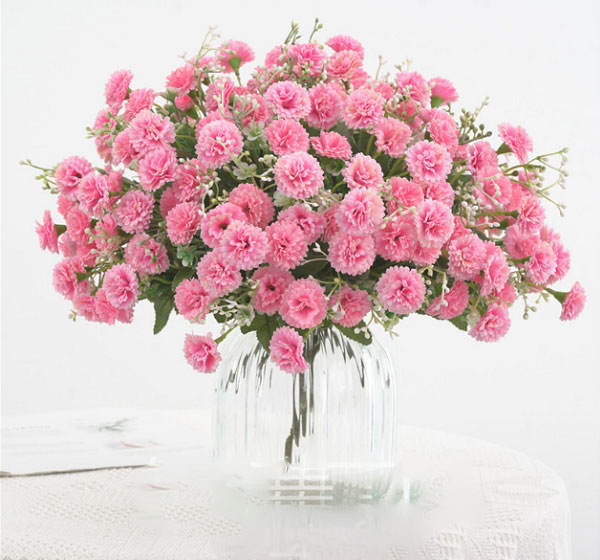 hoa cẩm chướng thể hiện một tình yêu ngọt ngào, đáng yêu