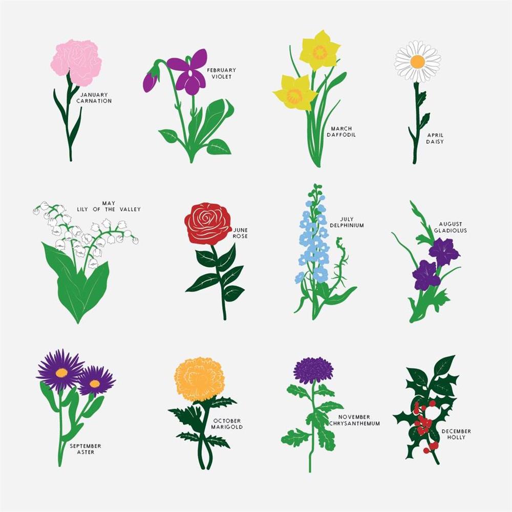 Ứng dụng How To Draw Flowers  Hướng dẫn cách vẽ hoa  Link tải free cách  sử dụng