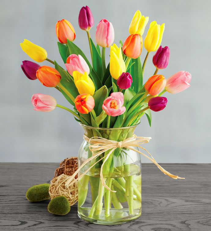 Bình hoa tulip nhiều màu sắc