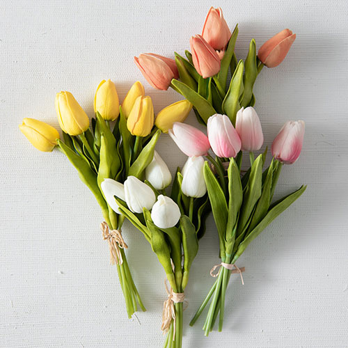 Bó hoa tulip tặng vợ