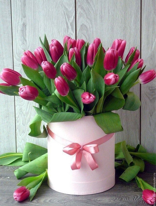 Hộp hoa tulip dễ thương