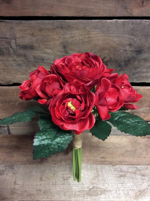 hoa hồng đỏ Cabbage - Canada