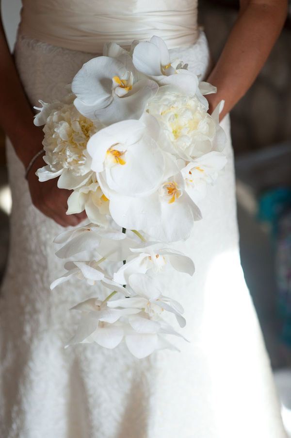 bó hoa cưới lan hồ điệp trắng tinh khôi