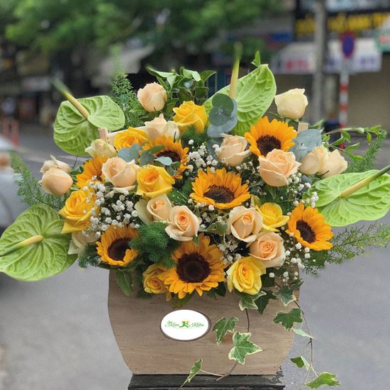 Hoa giỏ hướng dương- HG01