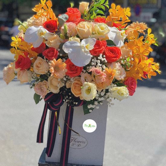 Hoa giỏ đỏ cam,lan nghê- HG08