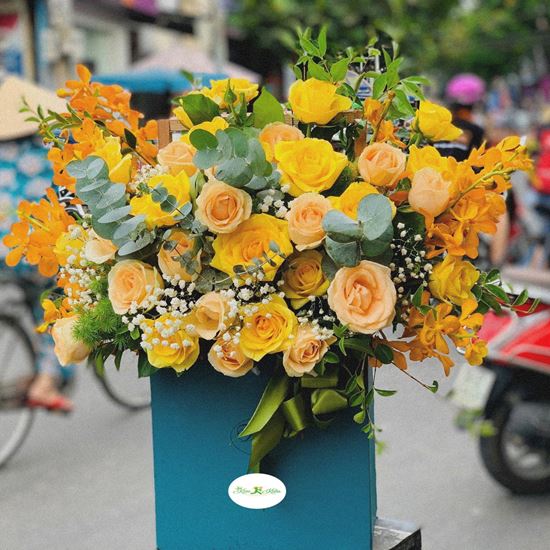 Hoa giỏ hồng vàng, lan nghệ- HG22