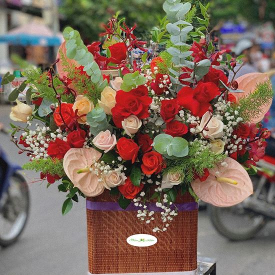 Hoa giỏ hồng đỏ, huyết môn hồng - HG24