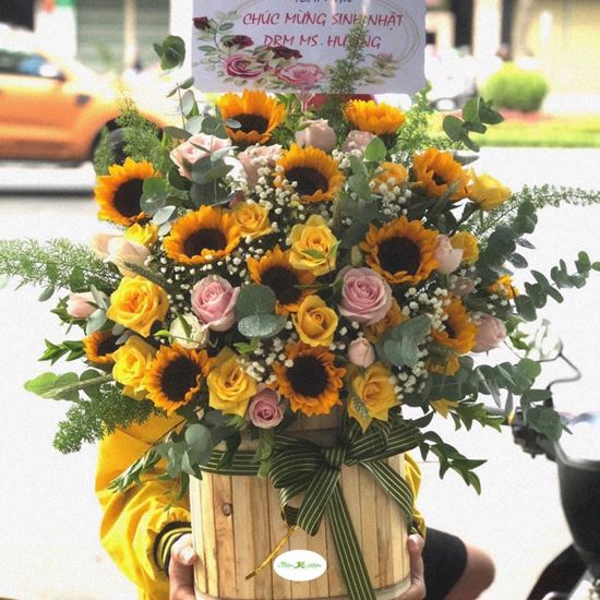 Hoa giỏ hướng dương, hồng phấn-HG23