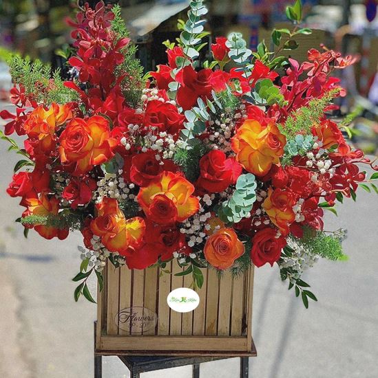 Hoa giỏ đỏ lửa mix lan đỏ - HG26