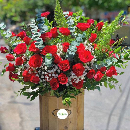 Hoa giỏ hồng đỏ, baby mix lá bạc-HG27