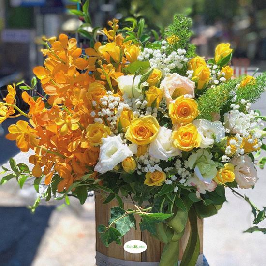 Hoa giỏ hồng vàng, lan vàng - HG28