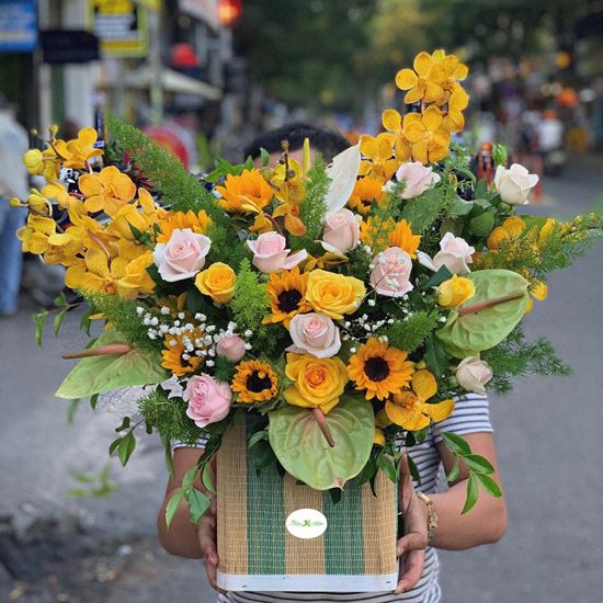 Hoa giỏ hồng kem, hướng dương, huyết môn xanh-HG42