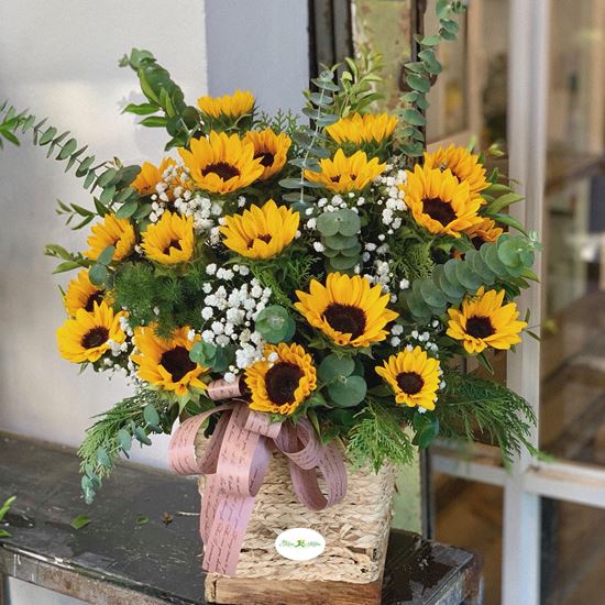 Hoa giỏ hướng dương-HG48