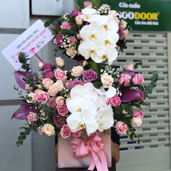 Hoa giỏ lan hồng điệp,hồng tím-HG58