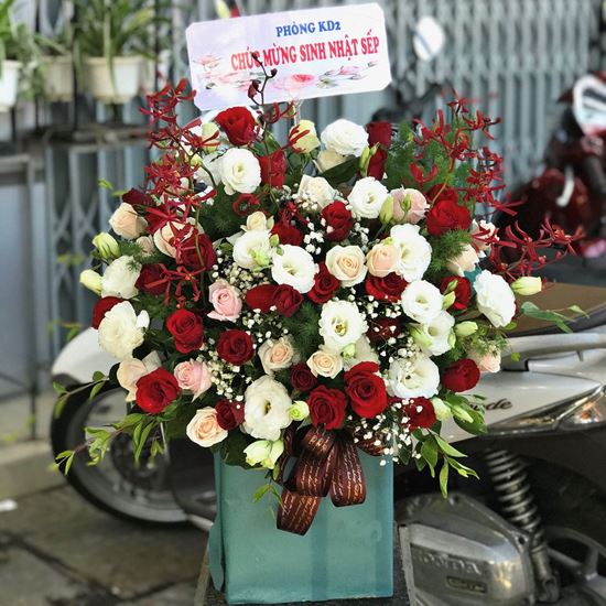 Hoa giỏ lan nhện, cát tường,hồng-HG60