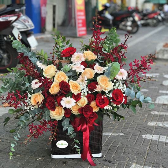 Hoa giỏ lan nhện,mỡ gà,hồng đỏ-HG61