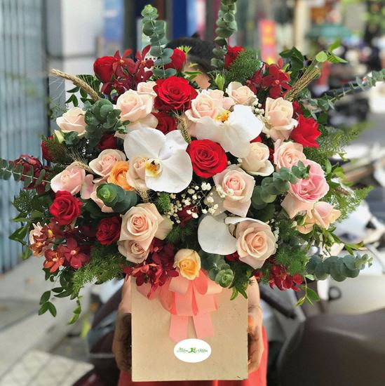 Hoa giỏ hồng kem, lan hồ điệp-HG63