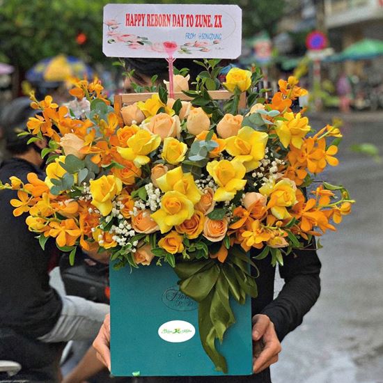 Hoa giỏ hồng vàng,lan vàng-HG64