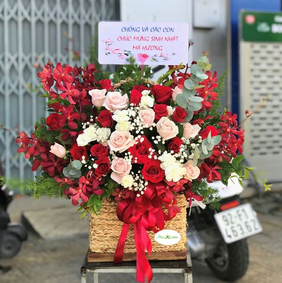 Hoa giỏ hồng kem, lan đỏ,hồng đỏ-HG66
