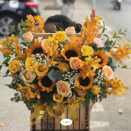 Hoa giỏ hướng dương,lan vàng-HG69