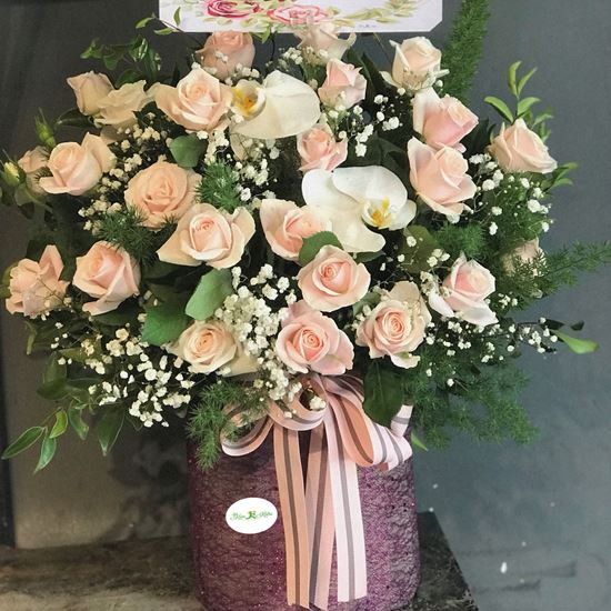 Hoa giỏ hồng kem, lan hồ điệp-HG92