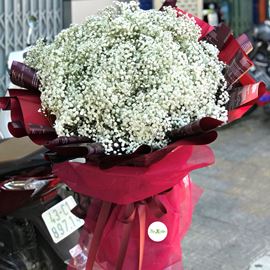 Bó hoa baby Hà Lan- HB53