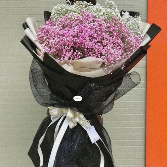 Bó baby Hà Lan hồng, trắng-HB76