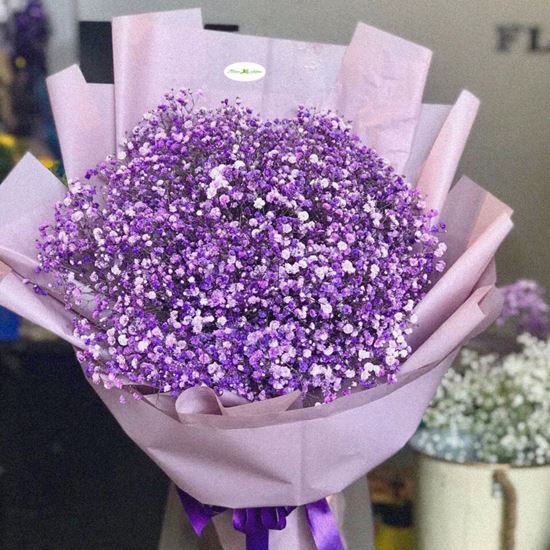 Bó hoa baby tím Hà Lan- HB78