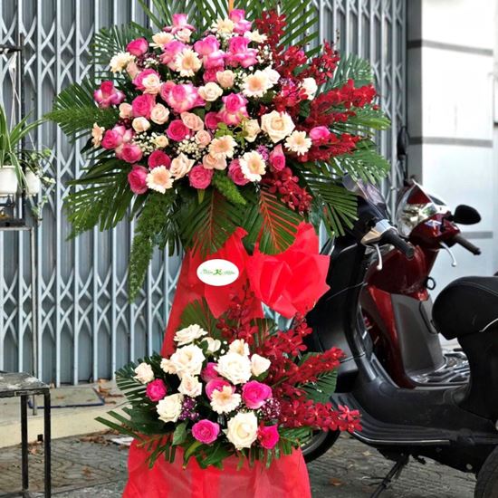 Kệ hoa đồng tiền, lan đỏ- KH17