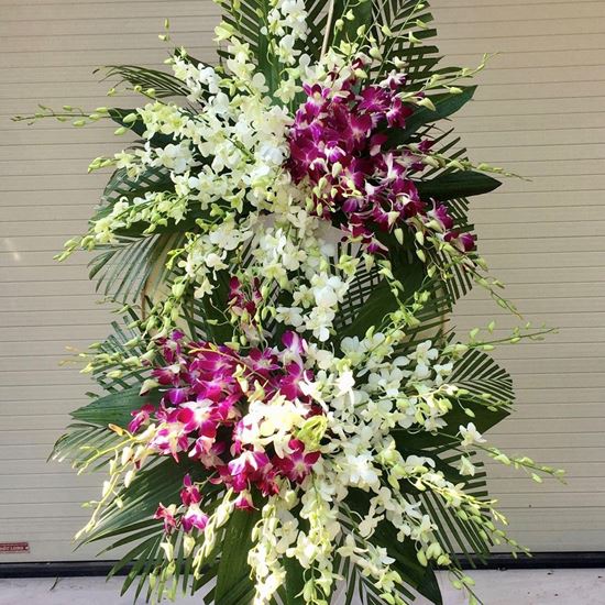 Kệ hoa viếng hoa lan- KV28