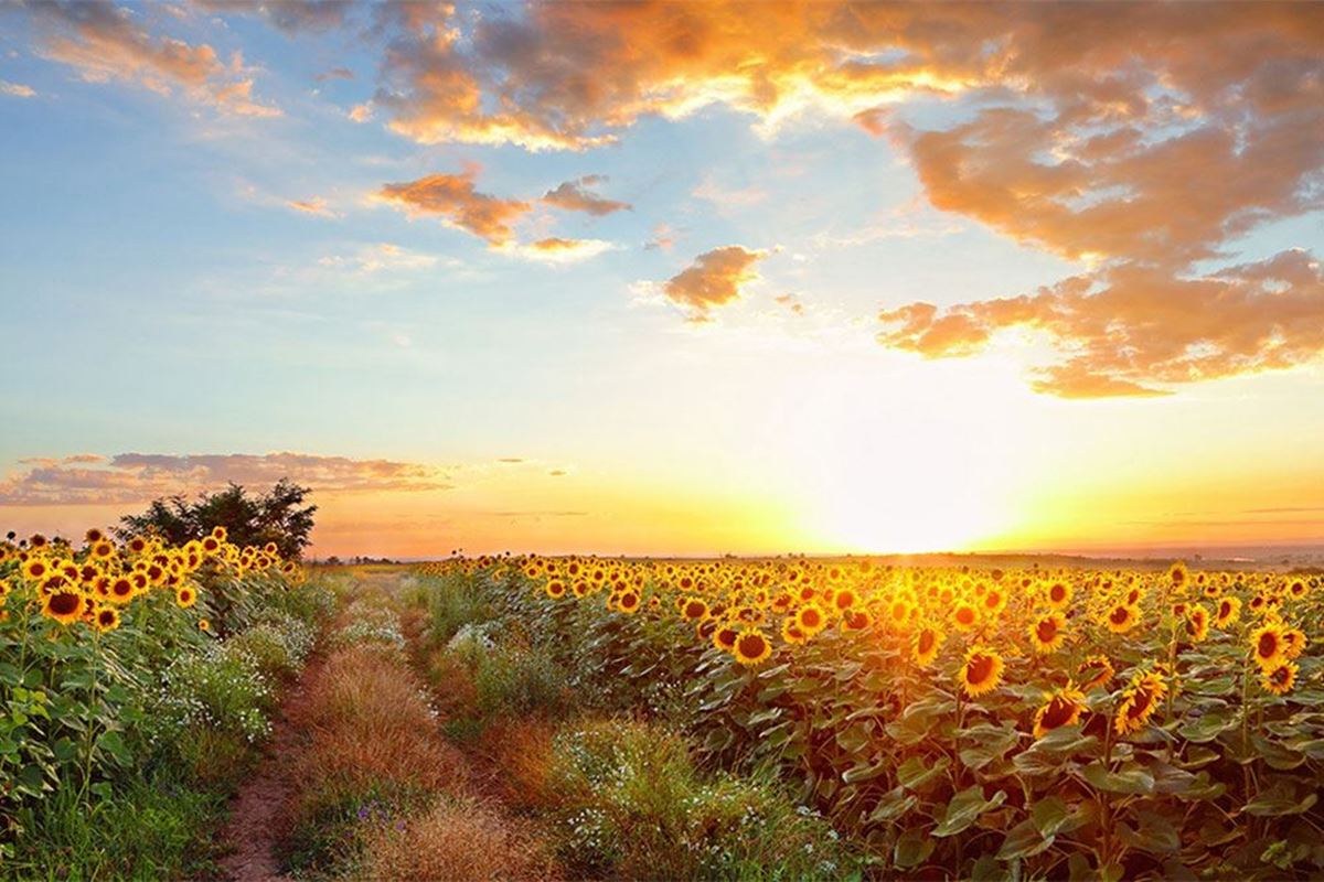 media.blogpost.imagealternatetextformat