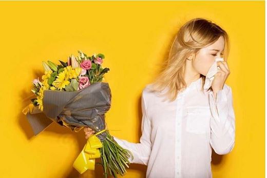 Những loài hoa chống dị ứng cho người bị dị ứng phấn hoa