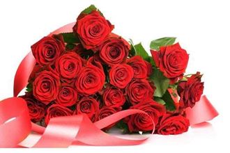 5+ Gợi ý chọn hoa hồng tặng ngày 20-10 ý nghĩa nhất