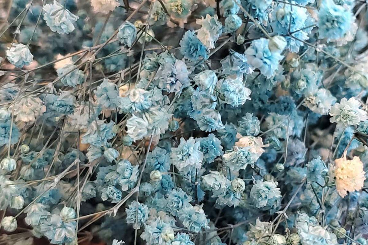 media.blogpost.imagealternatetextformat