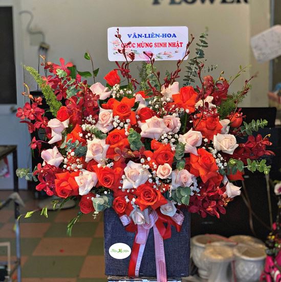 Hoa giỏ cam đỏ, lan nhện- HG109