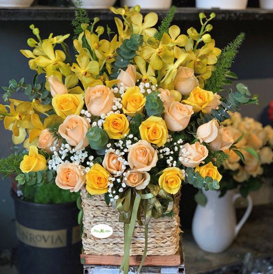 Hoa giỏ hoa hồng mỡ gà, lan mai- HG114