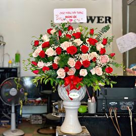 Hoa bình hoa hồng đỏ, hồng kem-BI37