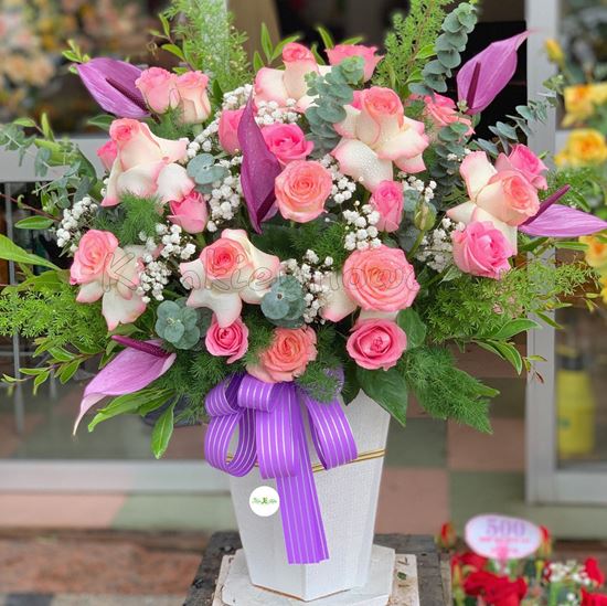 Hoa lẵng hồng son môi, huyết môn tím-HG128