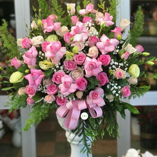 Hoa bình hồng dâu-BI38