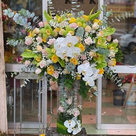 Bình hoa địa lan, lan hồ điệp-BI50