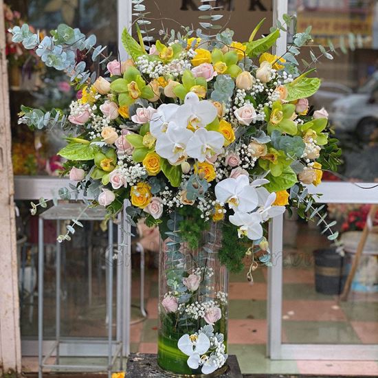 Bình hoa địa lan, lan hồ điệp-BI50