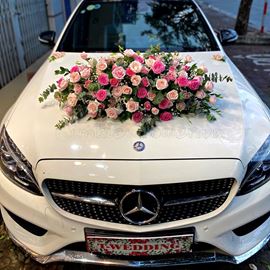 Xe cưới tone hồng dâu,kem-HC18