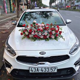 Xe cưới tone hồng dâu,kem-HC28