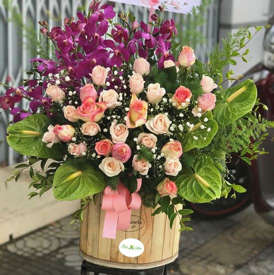giỏ hoa lan và hoa hồng