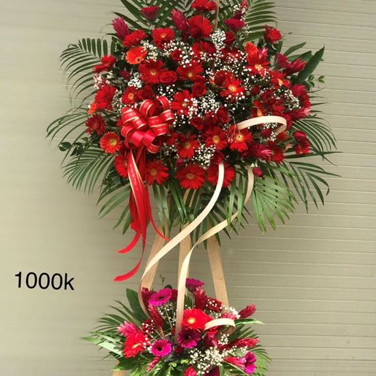 Kệ hoa hạnh phúc, đồng tiền- KH30